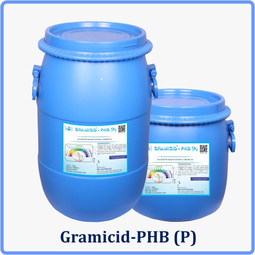 Gramicid-PHB-P